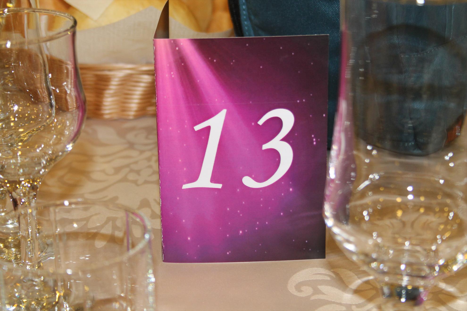 My new passion...1 - 1-13.JPG